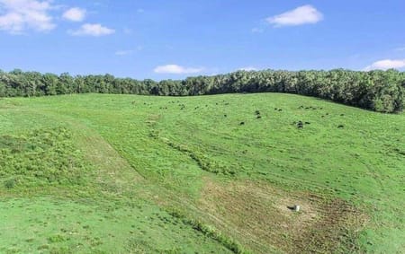 Mount Airy, GA 30563 Habersham County