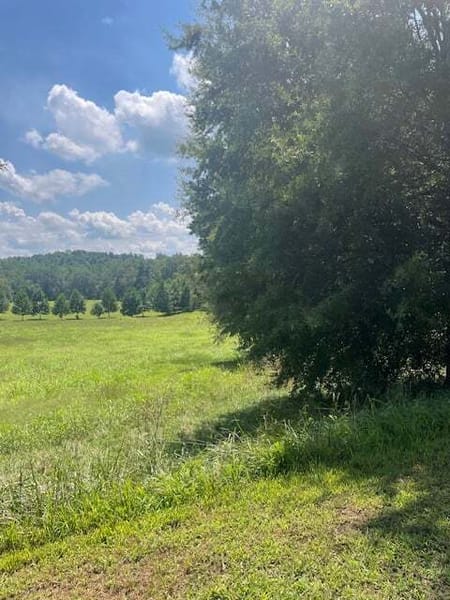 Clarkesville, GA 30523 Habersham County