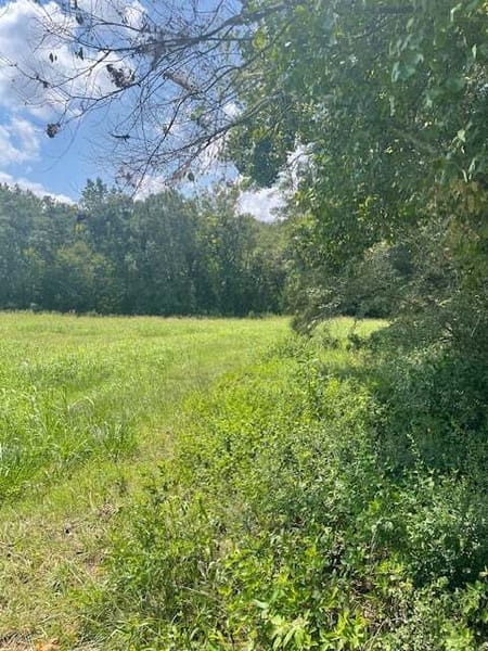 Clarkesville, GA 30523 Habersham County