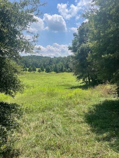 Clarkesville, GA 30523 Habersham County