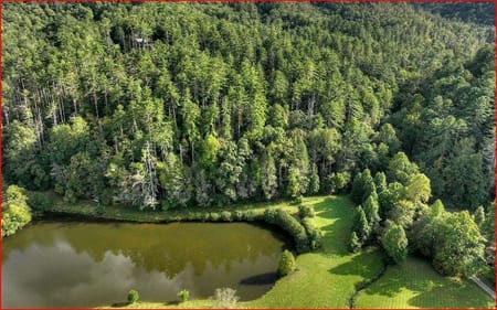 Mineral Bluff, GA 30559 Fannin County