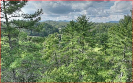 Mineral Bluff, GA 30559 Fannin County