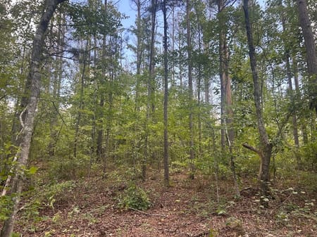Carrollton, GA 30117 Carroll County