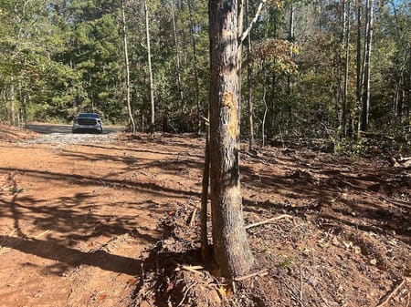 Carrollton, GA 30117 Carroll County
