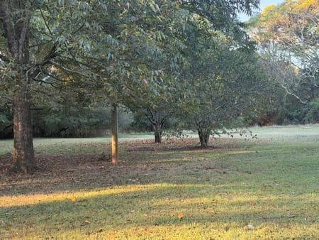 Danielsville, GA 30633 Madison County
