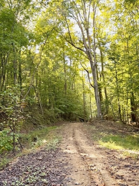 Rockmart, GA 30153 Polk County