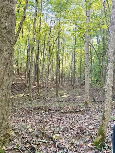 Rockmart, GA 30153 Polk County