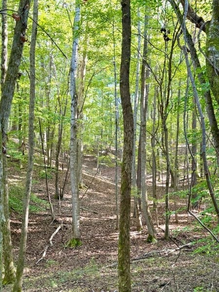 Rockmart, GA 30153 Polk County