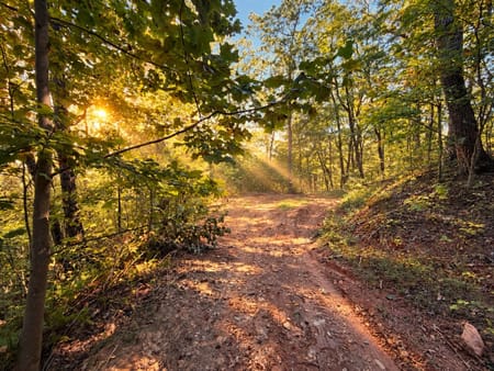 Ellijay, GA 30536 Gilmer County