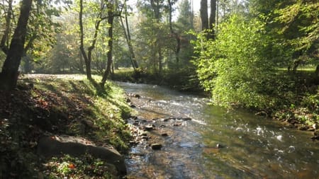 Ellijay, GA 30536 Gilmer County