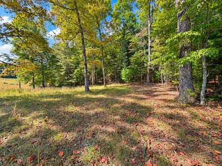 Ellijay, GA 30536 Gilmer County