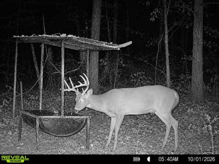 Woodbury, GA 30293 Meriwether County