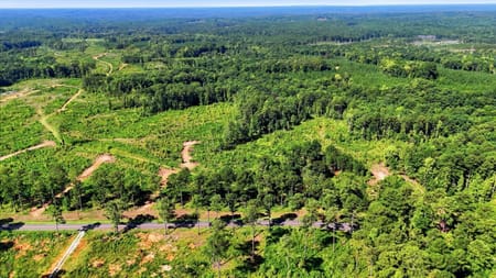 Forsyth, GA 31029 Monroe County