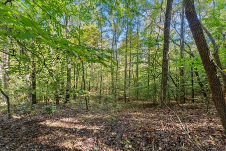 Gainesville, GA 30506 Hall County