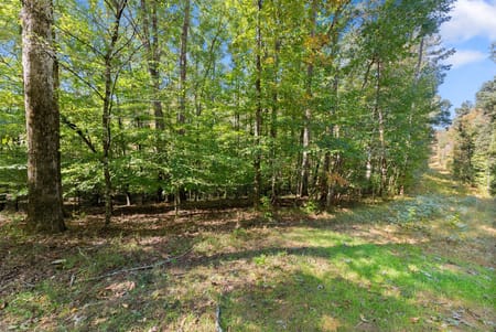 Gainesville, GA 30506 Hall County