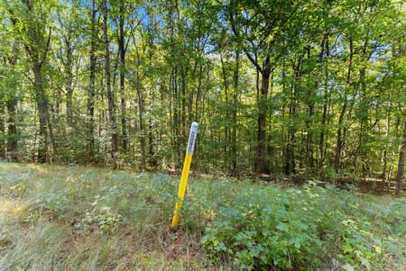 Gainesville, GA 30506 Hall County