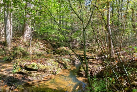 Gainesville, GA 30506 Hall County