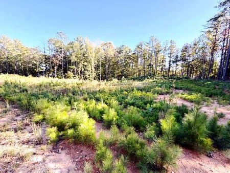 Dallas, GA 30132 Paulding County