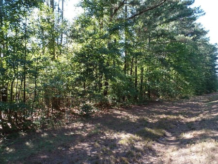 Sharpsburg, GA 30277 Coweta County