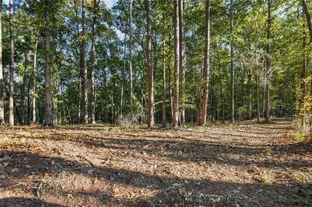 Canton, GA 30115 Cherokee County