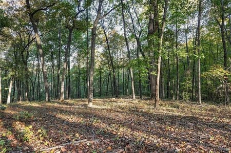 Canton, GA 30115 Cherokee County