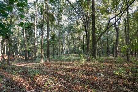 Canton, GA 30115 Cherokee County