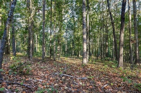 Canton, GA 30115 Cherokee County
