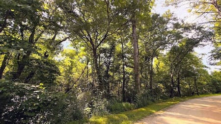 Bremen, GA 30110 Haralson County