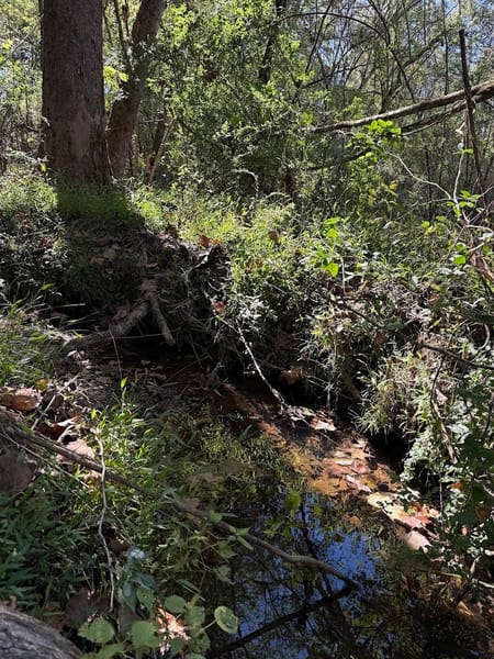 Bremen, GA 30110 Haralson County