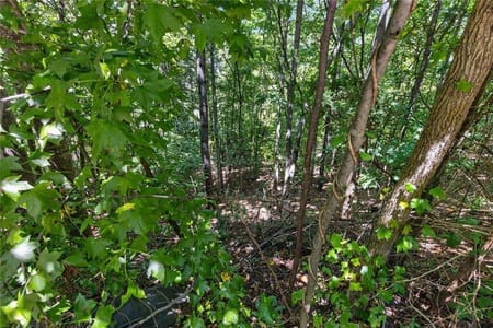 Auburn, GA 30011 Gwinnett County