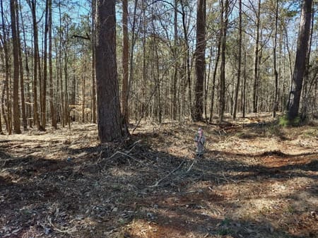 Hampton, GA 30228 Clayton County