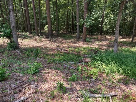 Hampton, GA 30228 Clayton County