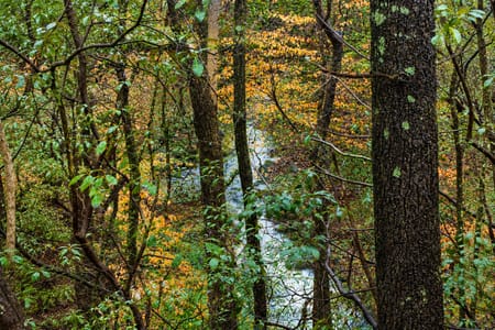 Big Canoe, GA 30143 Dawson County