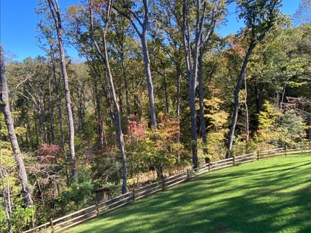 Ellijay, GA 30540 Gilmer County