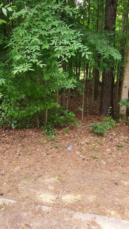 Snellville, GA 30039 Gwinnett County