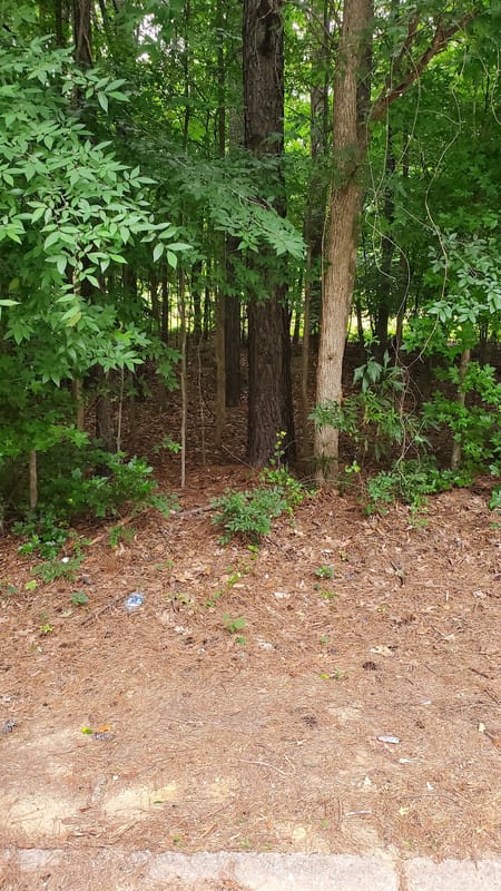 Snellville, GA 30039 Gwinnett County