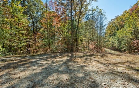 Ellijay, GA 30536 Gilmer County