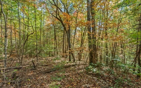 Ellijay, GA 30536 Gilmer County