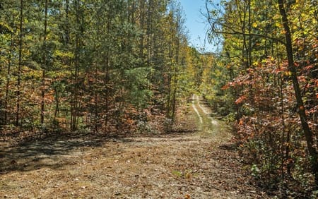 Ellijay, GA 30536 Gilmer County