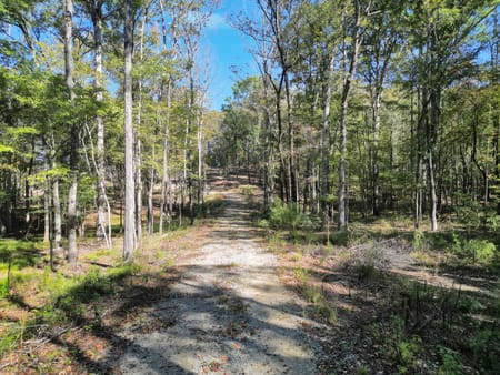 Molena, GA 30258 Pike County