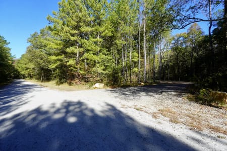 Molena, GA 30258 Pike County