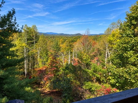 Mineral Bluff, GA 30559 Fannin County