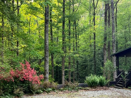 Demorest, GA 30535 Habersham County