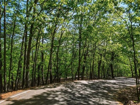 Big Canoe, GA 30143 Dawson County