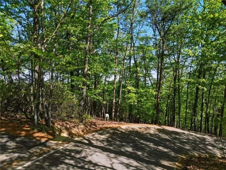 Big Canoe, GA 30143 Dawson County