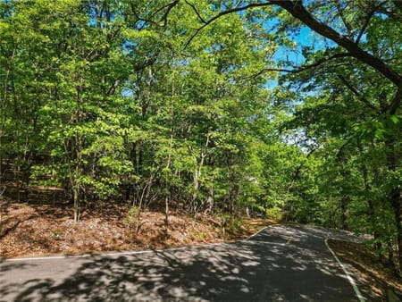 Big Canoe, GA 30143 Dawson County