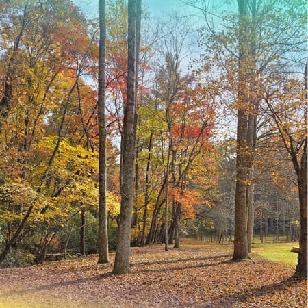 Blue Ridge, GA 30513 Fannin County