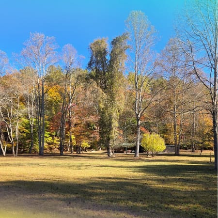 Blue Ridge, GA 30513 Fannin County
