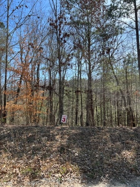 Ellijay, GA 30540 Gilmer County