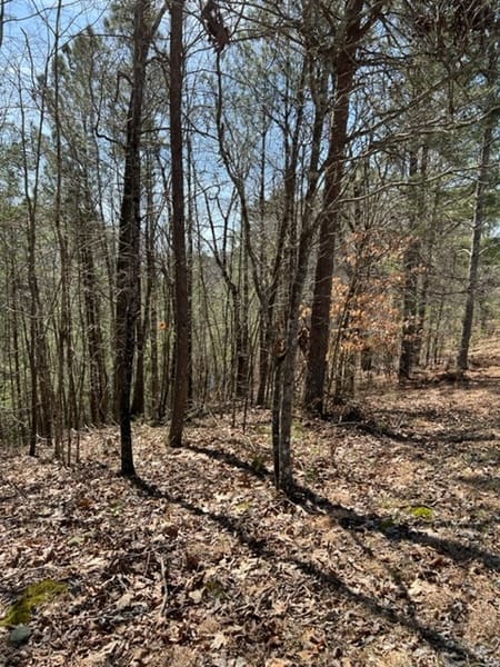 Ellijay, GA 30540 Gilmer County